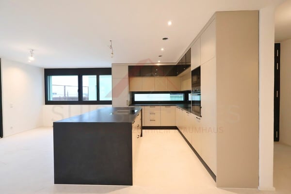 Erstbezug in Umiken - exklusives 4.5-Zimmer-Terrassenhaus mit 130 m² Terrasse 6