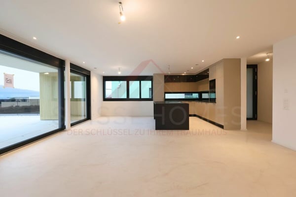 Erstbezug in Umiken - exklusives 4.5-Zimmer-Terrassenhaus mit 130 m² Terrasse 2