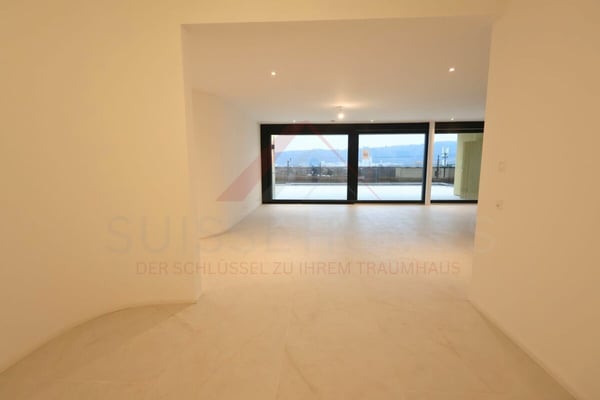 Erstbezug in Umiken - exklusives 4.5-Zimmer-Terrassenhaus mit 130 m² Terrasse 10