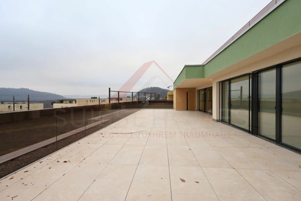 Erstbezug in Umiken - exklusives 4.5-Zimmer-Terrassenhaus mit 130 m² Terrasse 12