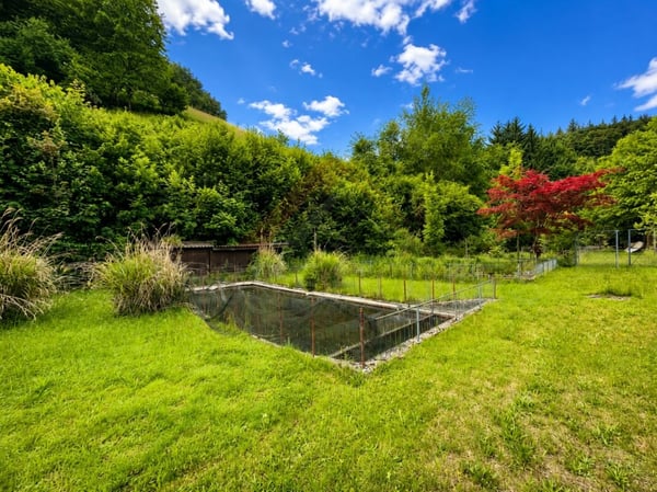 Naturparadies mit 7 Fischteichen - Einzigartige Freizeit- und Fischzuchtanlage in Gränichen 3