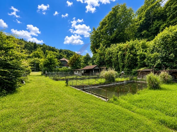 Naturparadies mit 7 Fischteichen - Einzigartige Freizeit- und Fischzuchtanlage in Gränichen 2