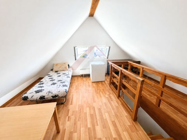 Mehrfamilienhaus mit grossem Entwicklungspotenzial in attraktiver Lage 4
