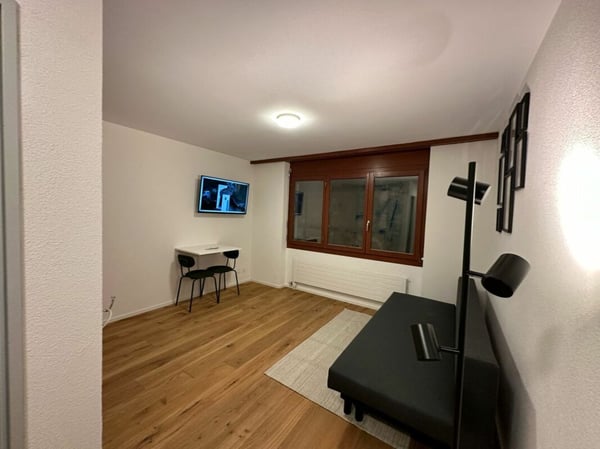 Zur Vermietung steht ein neuwertiges Studio mit 18 m² 1