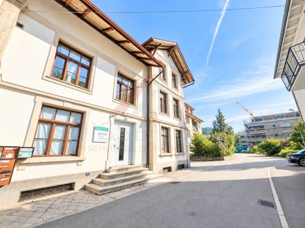 Historisches Fabrikensemble mit bestehendem Ertrag und Entwicklungspotenzial 2