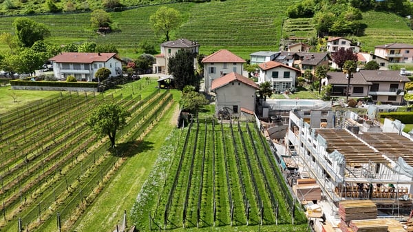 RANCATE- CASA BIFAMILIARE CON STALLA, AMPIO TERRENO EDIFICABILE 7