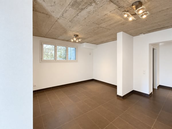 LUGANO - SPAZI GENEROSI, GIARDINO PRIVATO E VISTA SUL LAGO 10