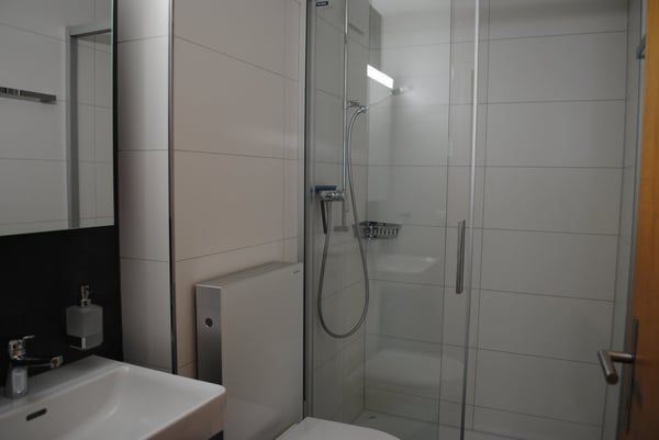 Charmante 2.5-Zimmer-Wohnung in ruhiger Lage von Spiez 3