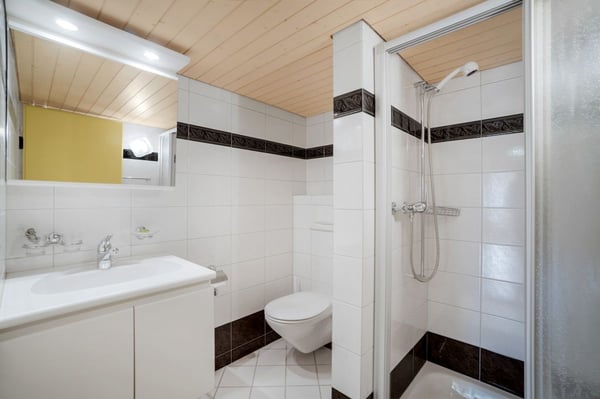 HAUS MIT EINLEGERWOHNUNG 5