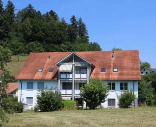 Benötigen Sie Stauraum? Sehr grosses Estrich-Abteil zu vermieten 3