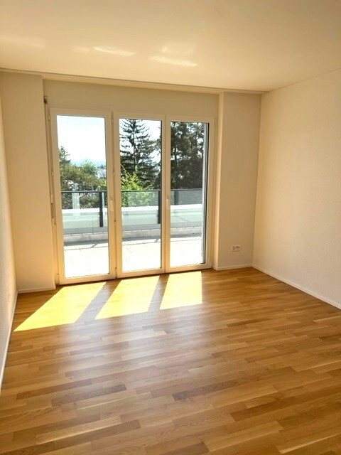 1.5-Zimmerwohnung mit Dachterrasse 5