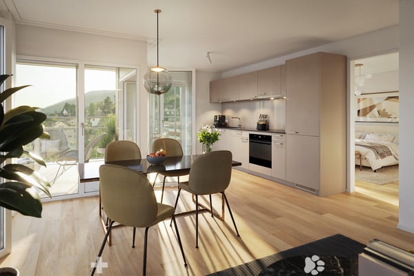 La Colombe, Biel - Neubauprojekt / La Colombe, Bienne - Projet de construction neuve 6