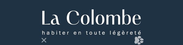 La Colombe, Biel - Neubauprojekt / La Colombe, Bienne - Projet de construction neuve 2