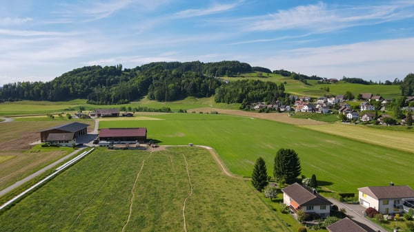 Modern und naturnah - Ihr neues Zuhause 8