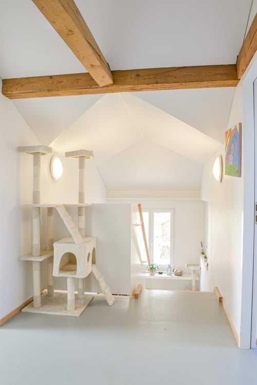 Mehrfamilienhaus mit Potenzial 3