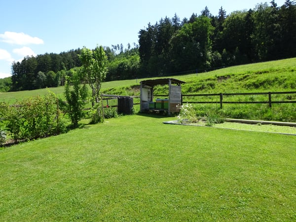 Familienparadies in Bahnhofsnähe 3