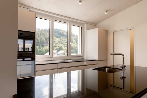 Grosszügige Neubau-Dachwohnung mit Weitblick und Natur 4