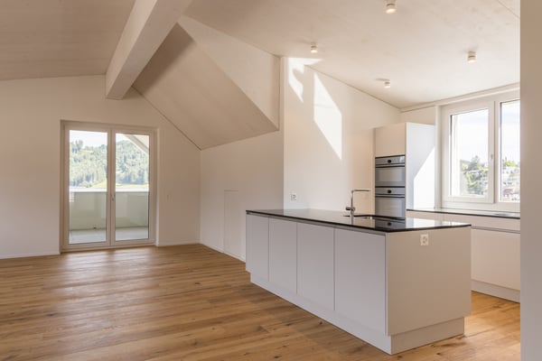 Grosszügige Neubau-Dachwohnung mit Weitblick und Natur 5