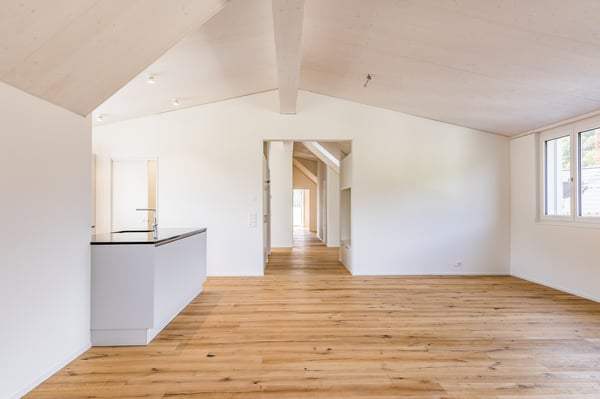 Grosszügige Neubau-Dachwohnung mit Weitblick und Natur 2