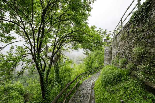 Rustico Liebhaberobjekt in Mergoscia 19