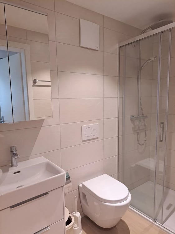 Möbliertes 1.5-Zimmer-Studio mit Terrasse in Fahrweid mieten. 7