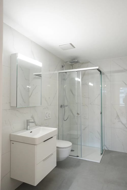 Helles 1.5-Zimmer-Dachstudio in Dübendorf mieten 6