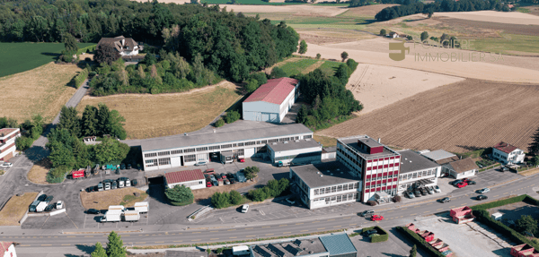 A VENDRE - Bâtiment artisanal, industriel et administratif à Schmitten 4