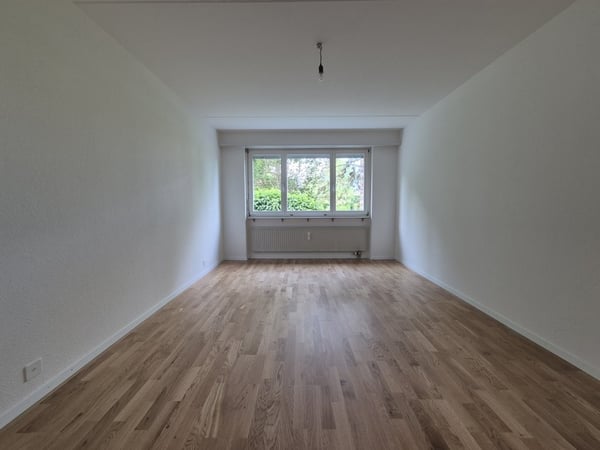 Grosszügige 4.5 Zimmerwohnung im Mischeli zu vermieten 6