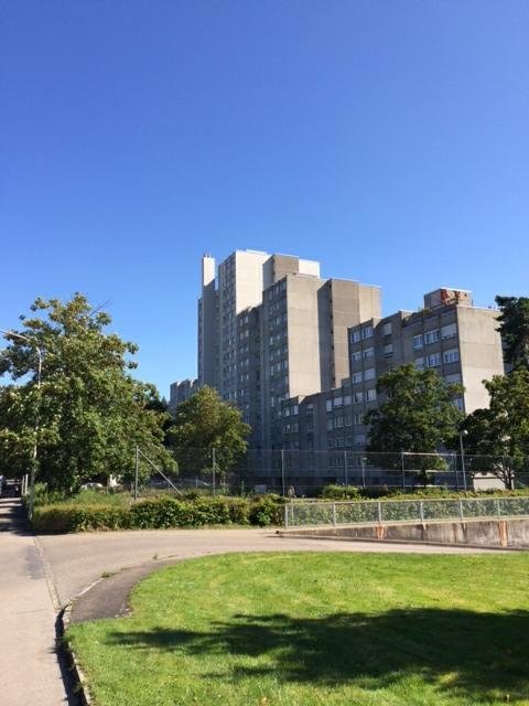 Schützen Sie Ihr Auto vor den Launen der Natur! 3