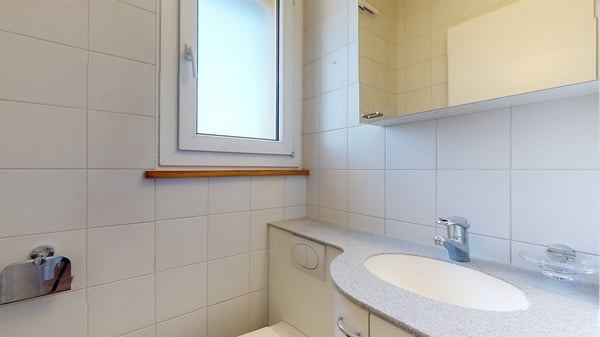 Frisch renovierte Wohnung mit Alpsicht 8