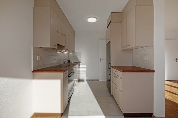 Dachwohnung mit Blick ins Grüne 3