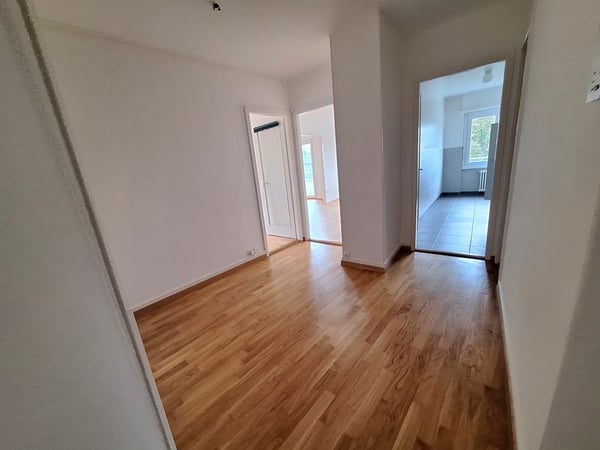 Bel appartement au centre-ville 3
