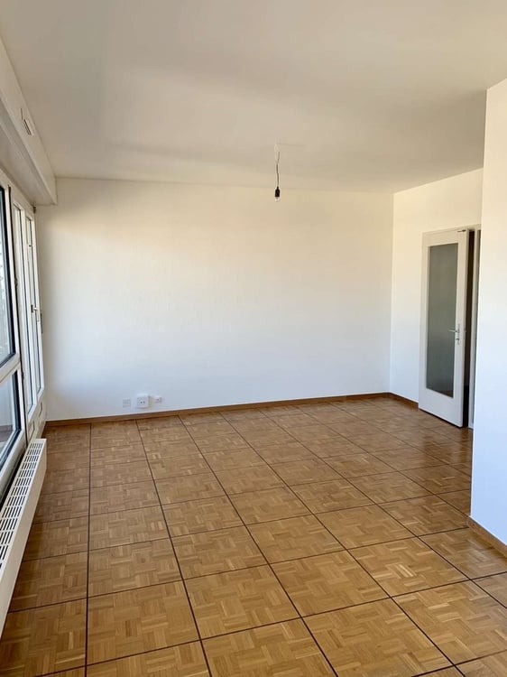 Charmilles - appartement en attique avec balcon et magnifique vue 4