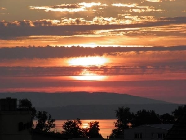 Vorschaubild der Immobilie