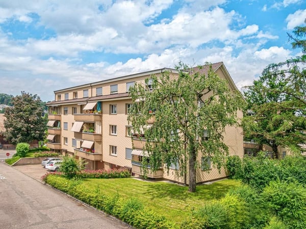 Super Preis- / Leistungsverhältnis 1