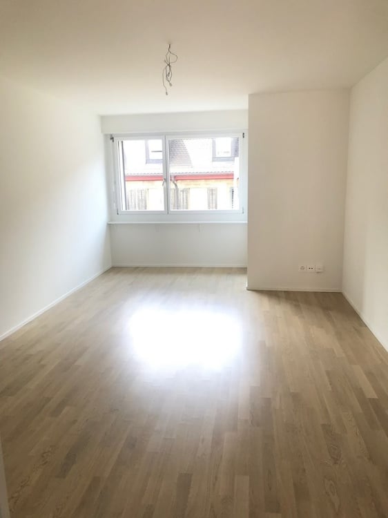 Schöne Wohnung nähe Zürich-HB 5