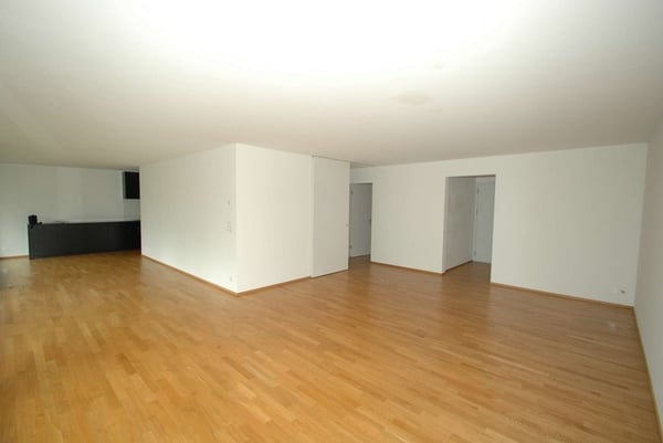 Geräumige Wohnung mit Weitblick über die Schweizer Alpen! 2