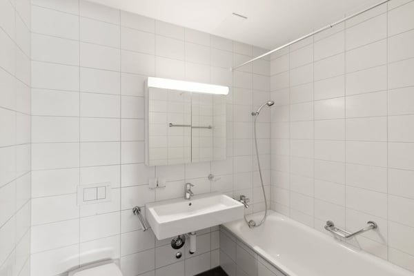 Neuhegi - das zweite urbane Stadtzentrum von Winterthur 4