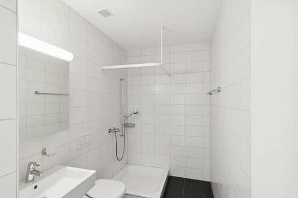 Neuhegi - das zweite urbane Stadtzentrum von Winterthur 5