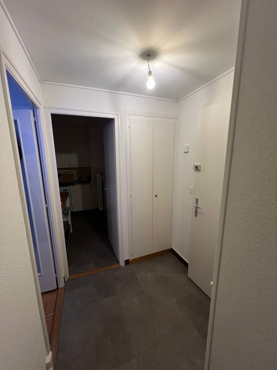 Studio à louer à Crissier 1