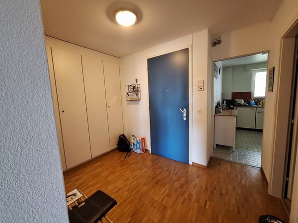 Bel appartement dans le quartier Montchoisi 2