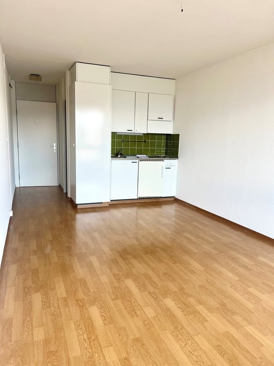 Superbe vue, calme en plein coeur de la ville (de suite) 3