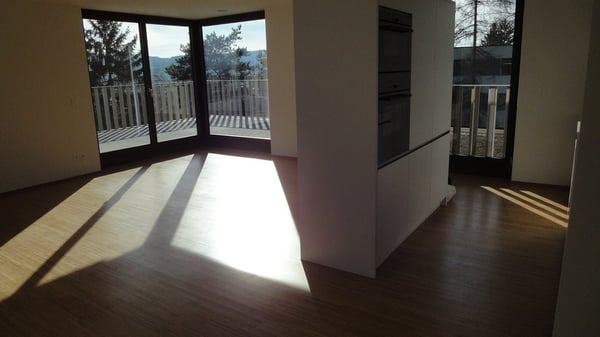 Die schönste Aussicht in Zürich! 2