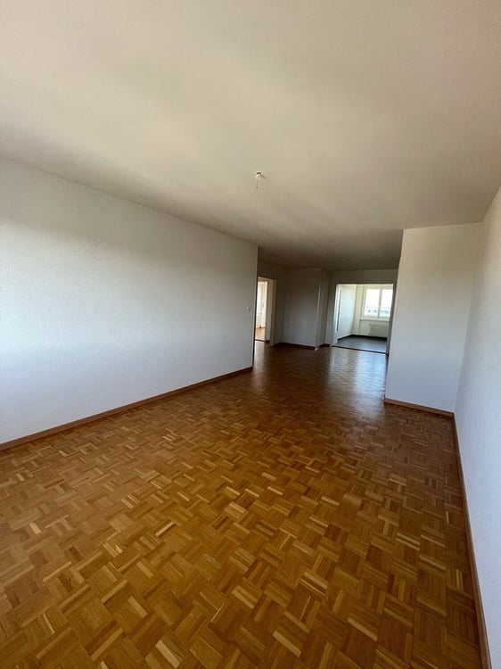 Lumineux 5.5 pièces de 140m2 3