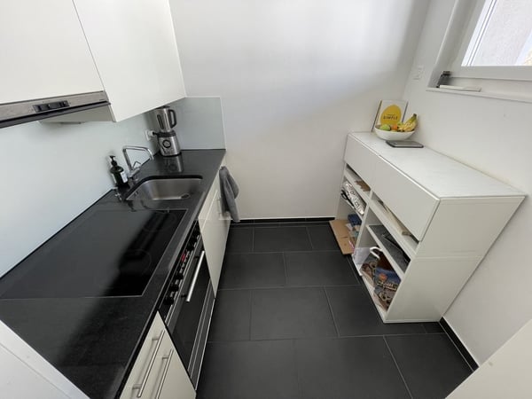 Moderne Wohnung an der Friesenbergstrasse 82, 8055 Zürich 2
