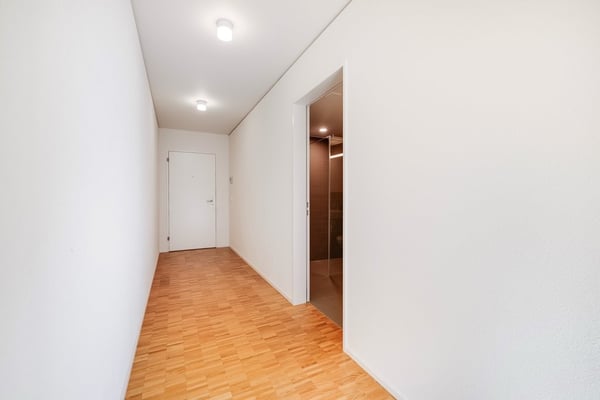 Exklusive Wohnung in Basel - Prestige & Eleganz 7