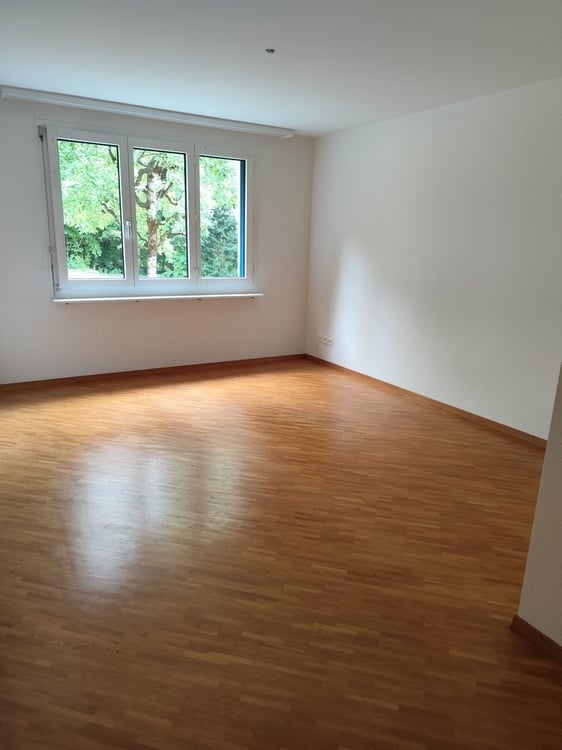 Ruhig, sonnig, gut angebunden - 1.5-Zimmerwohnung in Zürich-Höngg 11