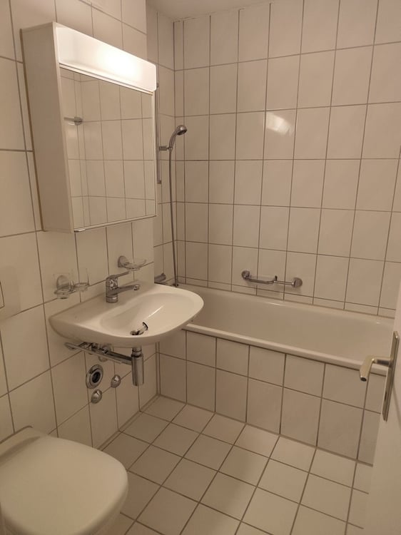 Ruhig, sonnig, gut angebunden - 1.5-Zimmerwohnung in Zürich-Höngg 9