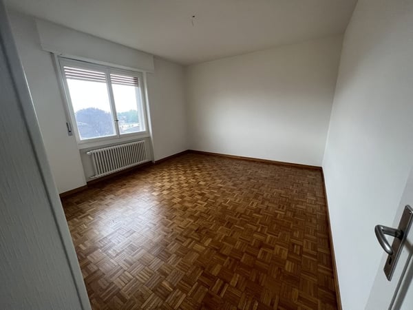 Magnifique 3 pièces dans un quartier calme 6