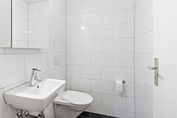 Ruhige Wohnung in Olten gesucht? 4